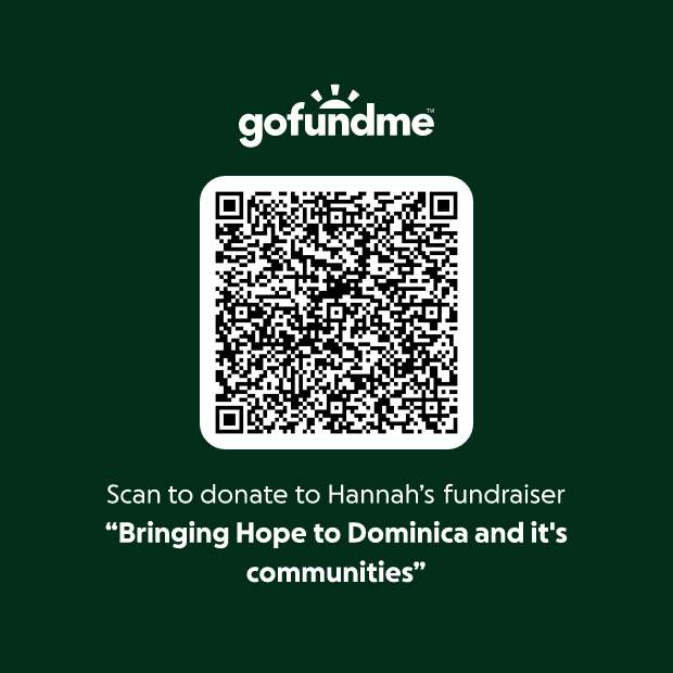 GoFundMe QR-Code